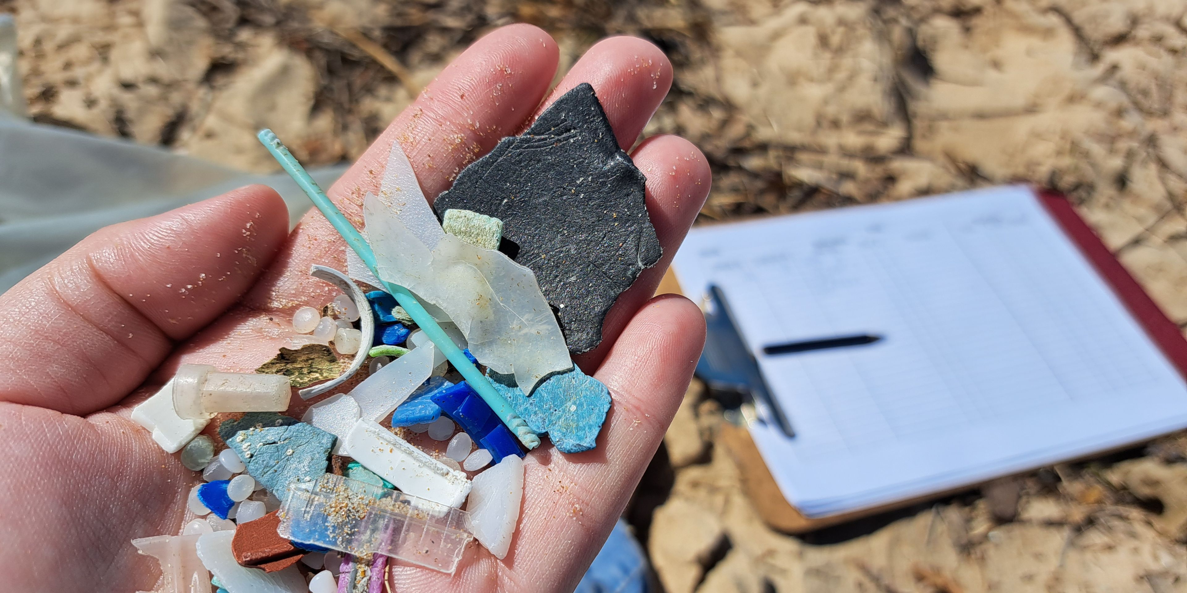 natucate-internship-south-africa-nature-valley-trust-forschung-strand-mull-analyse