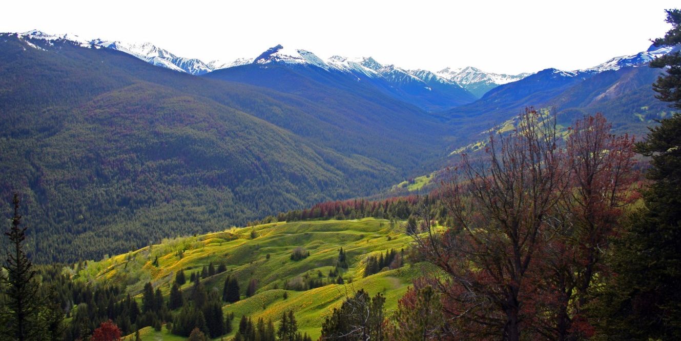 natur-und-rangerkurse-kanada-nordamerika-bushcraft-survival-aussicht-natucate