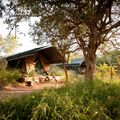 reiseorte-suedafrika-camp-karongwe-zelt-natucate