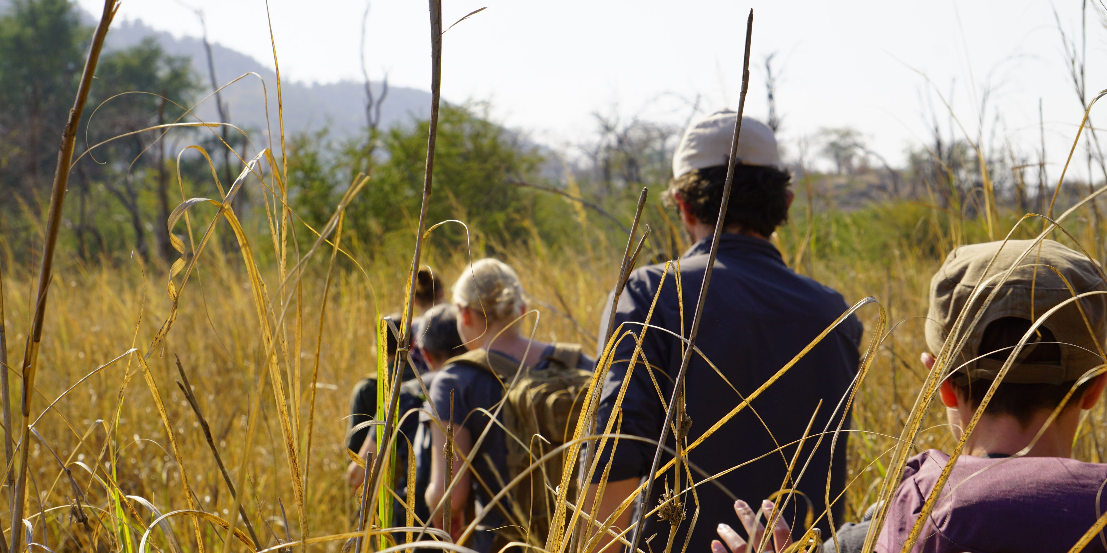 Eine Gruppe von Teilnehmern ist per Pirschwanderung auf dem Weg durch die Masai Mara