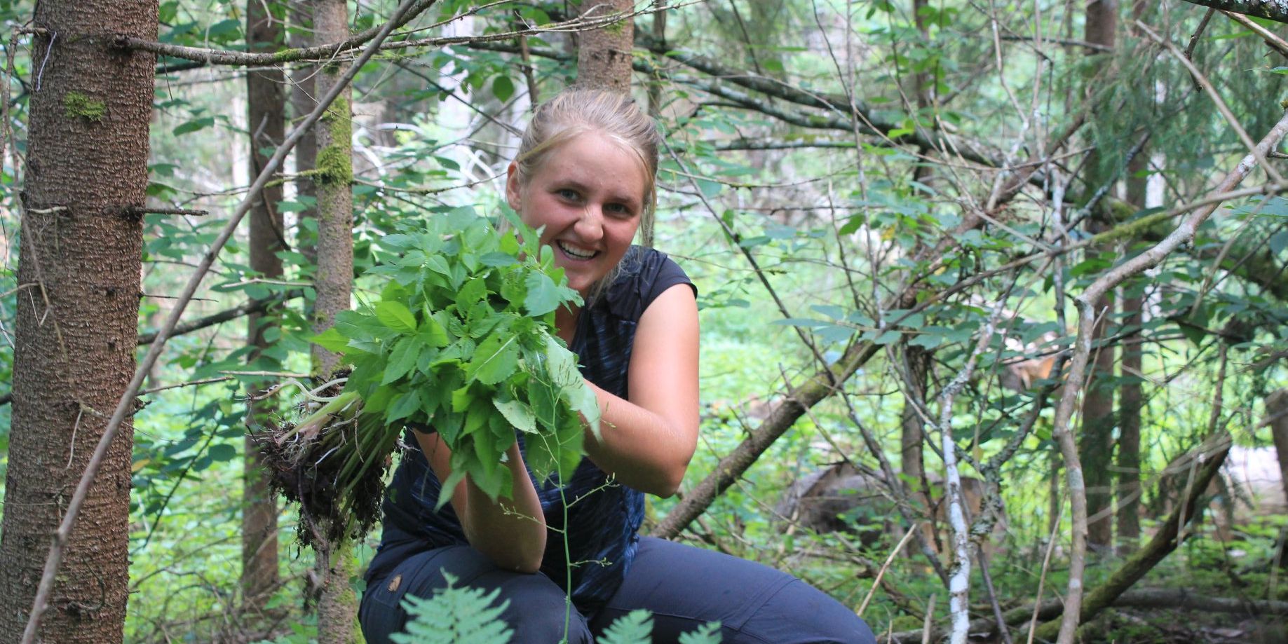 Freiwillige Helferin bei der Arbeit im Naturschutzprojekt in Estland