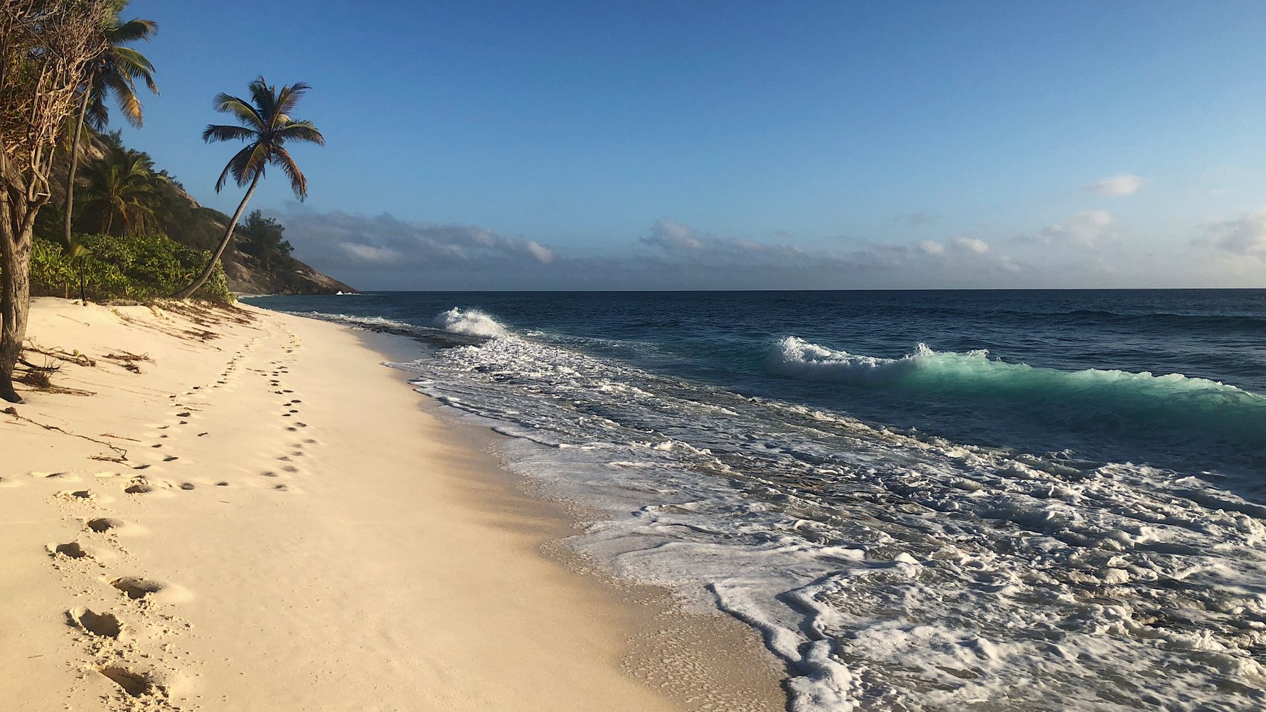 erfahrungsberichte-freiwilligenarbeit-seychellen-north-island-artenschutz-sarina-strand-fussspuren-natucate
