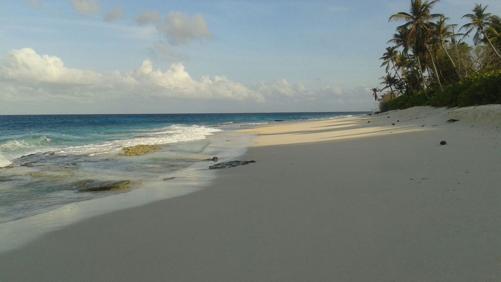 freiwilligenarbeit-seychellen-kundenfotos-erfahrungsbericht-artenschutz-natucate