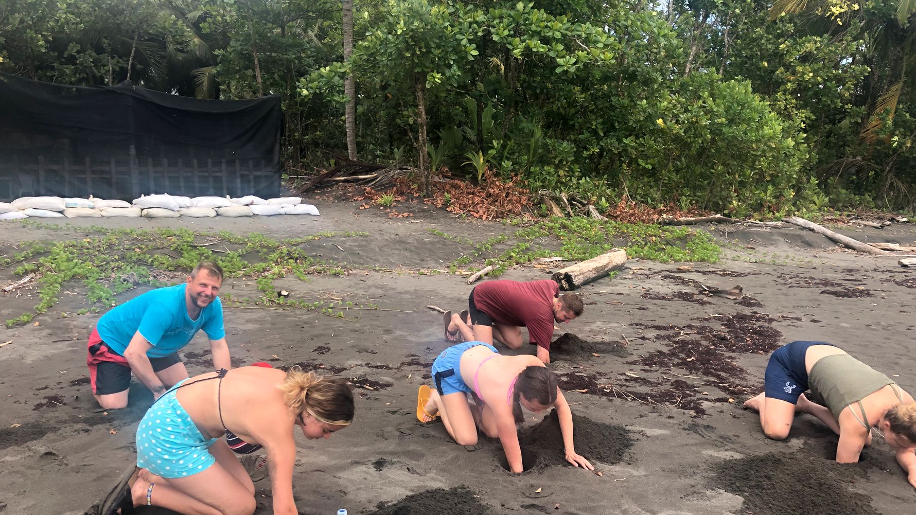Fünf Freiwilligenhelfer knien im Sand und graben mit den Händen nach Schildkröteneiern am Strand von Costa Rica, um diese vor den Wilderern zu finden.