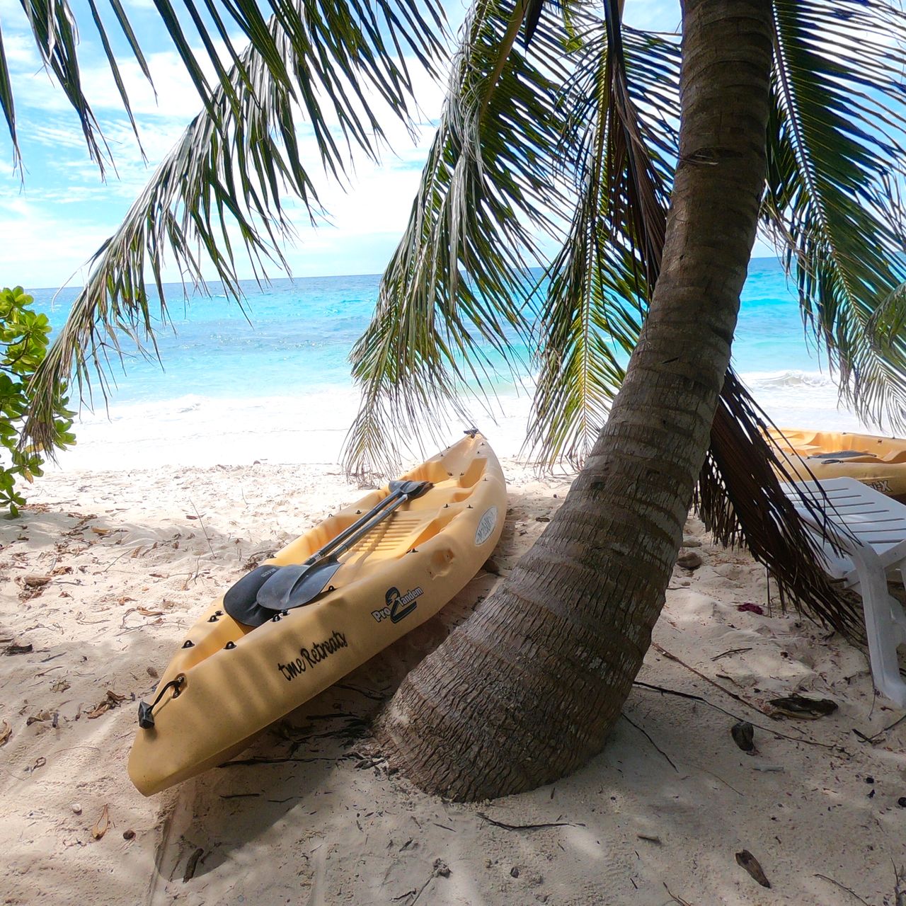 erfahrungsberichte-freiwilligenarbeit-malediven-walhaie-doris-kanu-natucate
