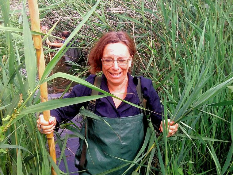 freiwilligenarbeit-spanien-erfahrungsbericht-natucate