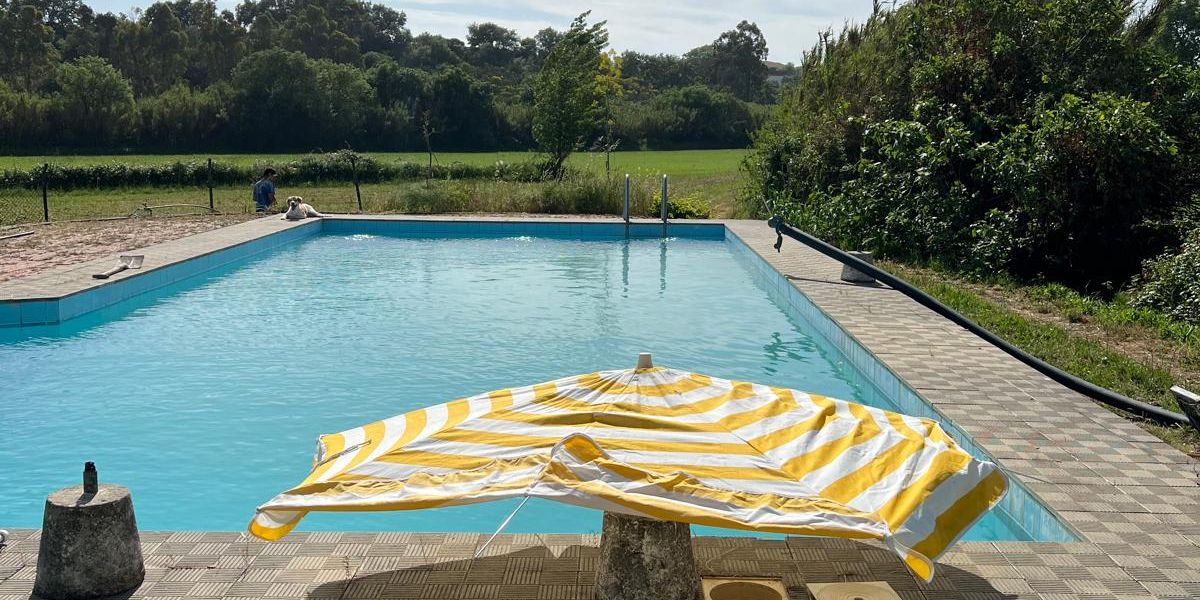 natucate-volunteering-portugal-animal-welfare-pool