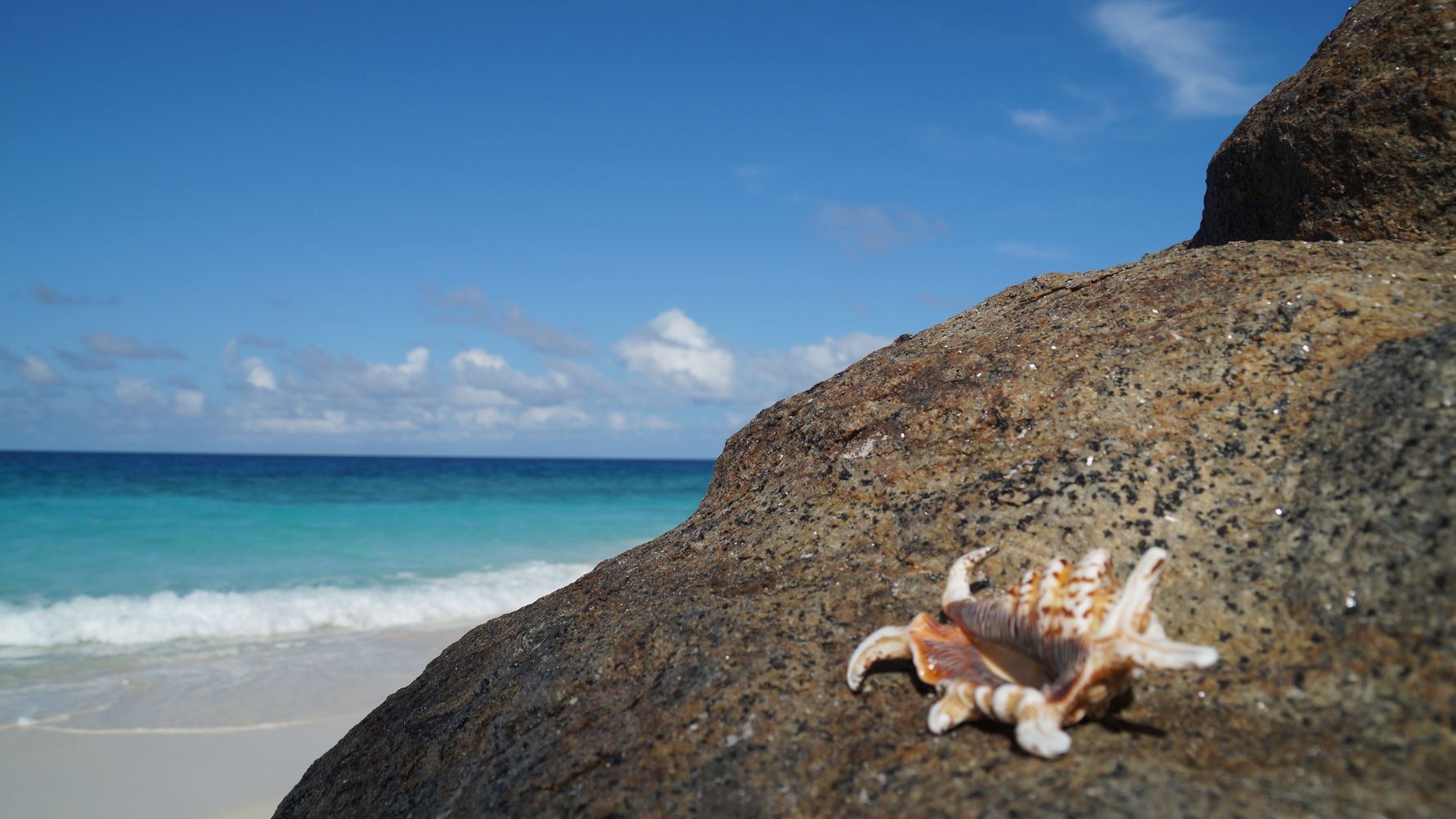 freiwilligenarbeit-seychellen-erfahrungsbericht-artenschutz-kundenfotos-felsen-natucate