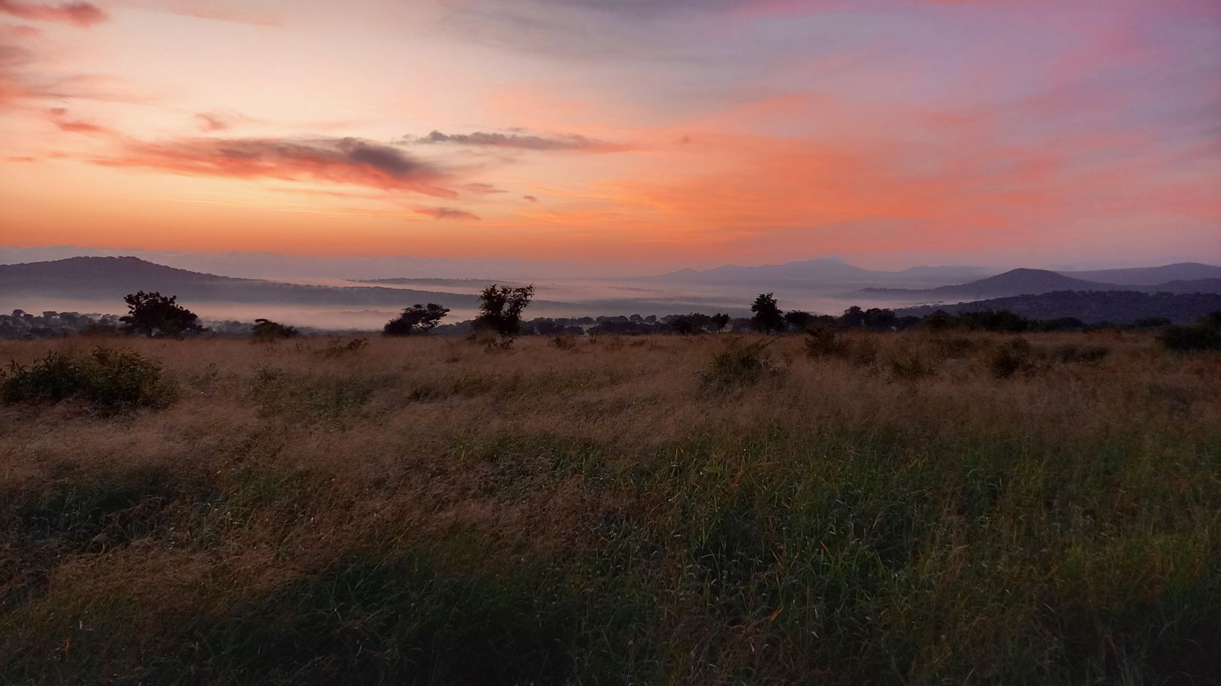 freiwilligenarbeit-natucate-suedafrika