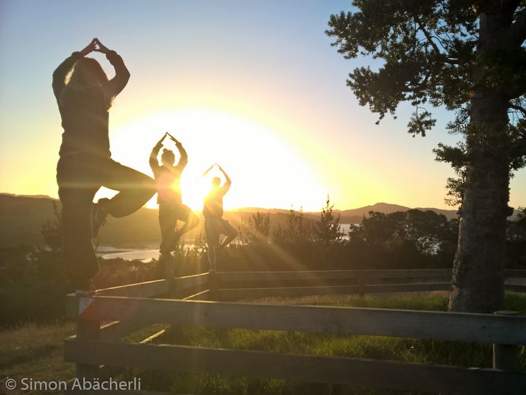 freiwilligenarbeit-neuseeland-natur-freiwilligenarbeit-blog-natucate