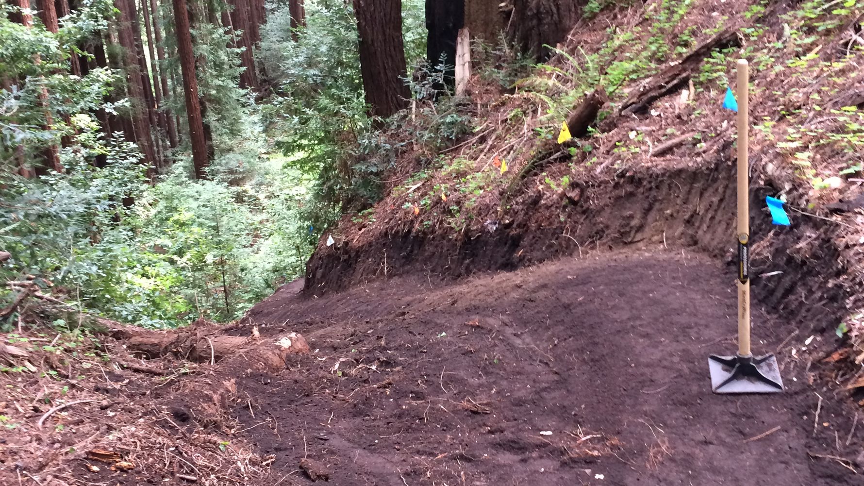 freiwilligenarbeit-usa-kalifornien-erfahrungsbericht-naturschutz-kundenfotos-arbeit-natucate