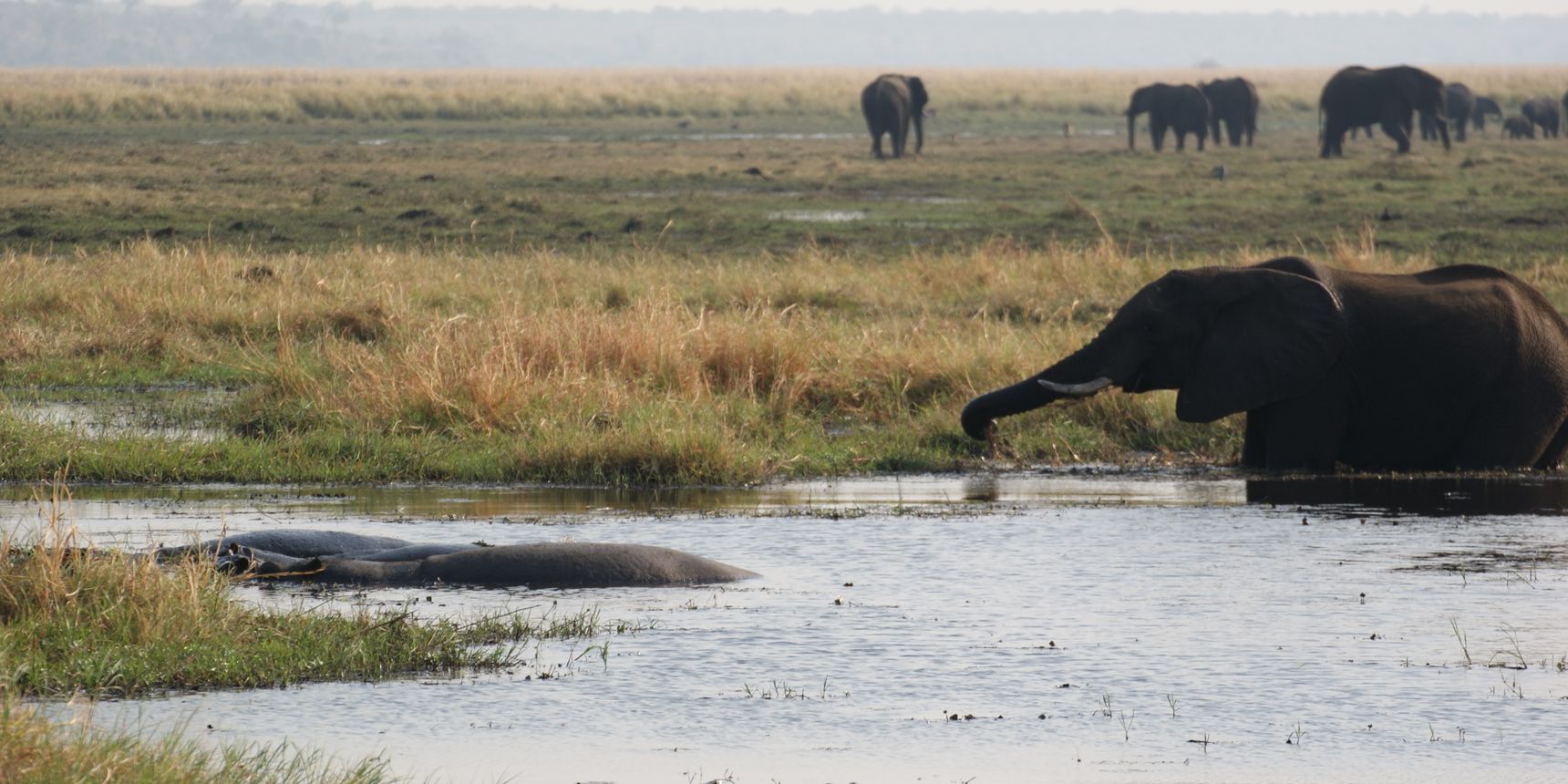 praktikum-artenschutz-botswana-projektbesuch