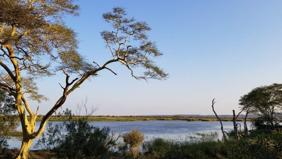 erfahrungsberichte-frewilligenarbeit-suedafrika-zululand-artenschutz-mario-landschaft-baum-natucate
