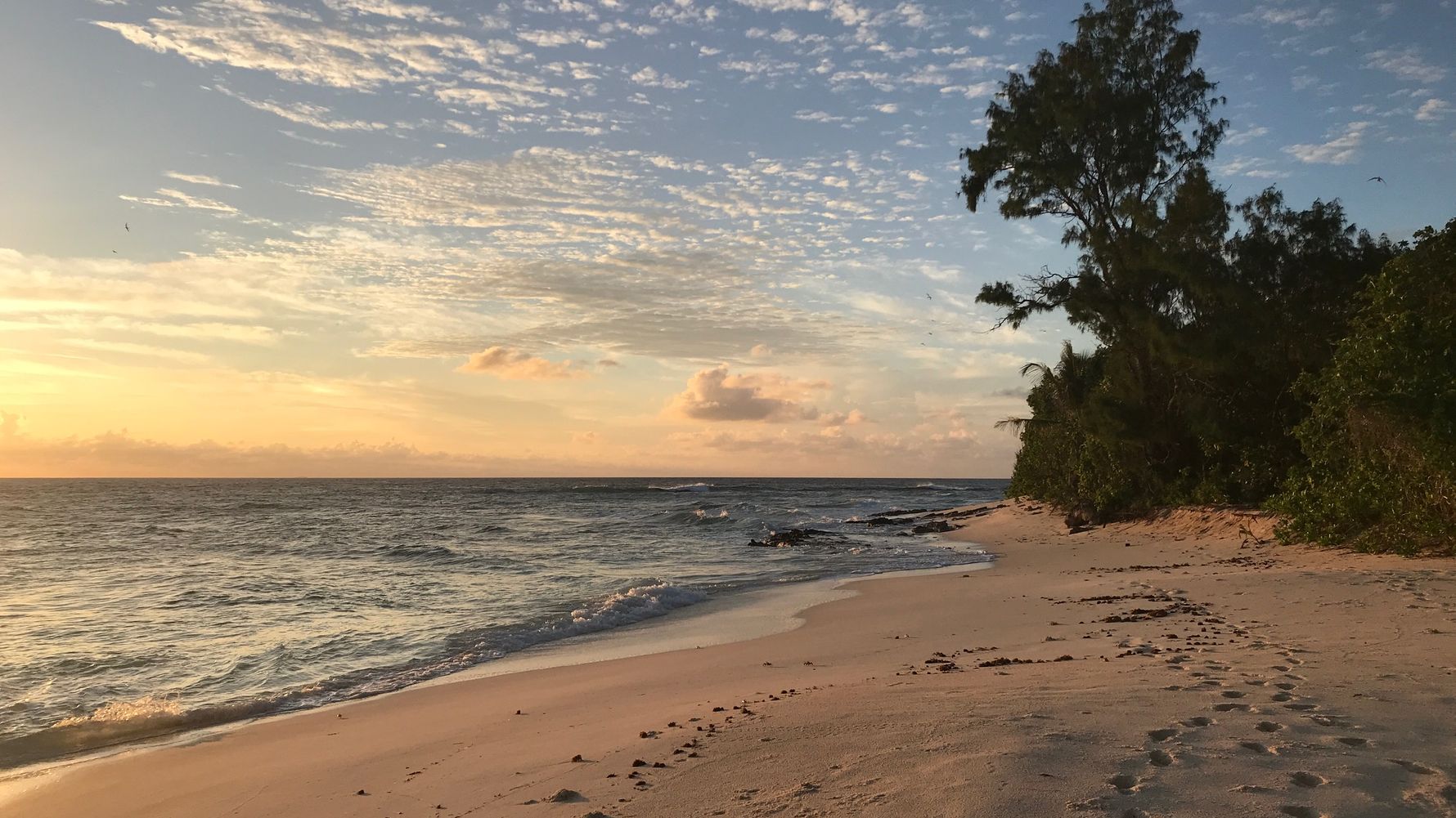 erfahrungsberichte-freiwilligenarbeit-seychellen-cousin-island-artenschutz-kai-sonnenuntergang-strand-natucate