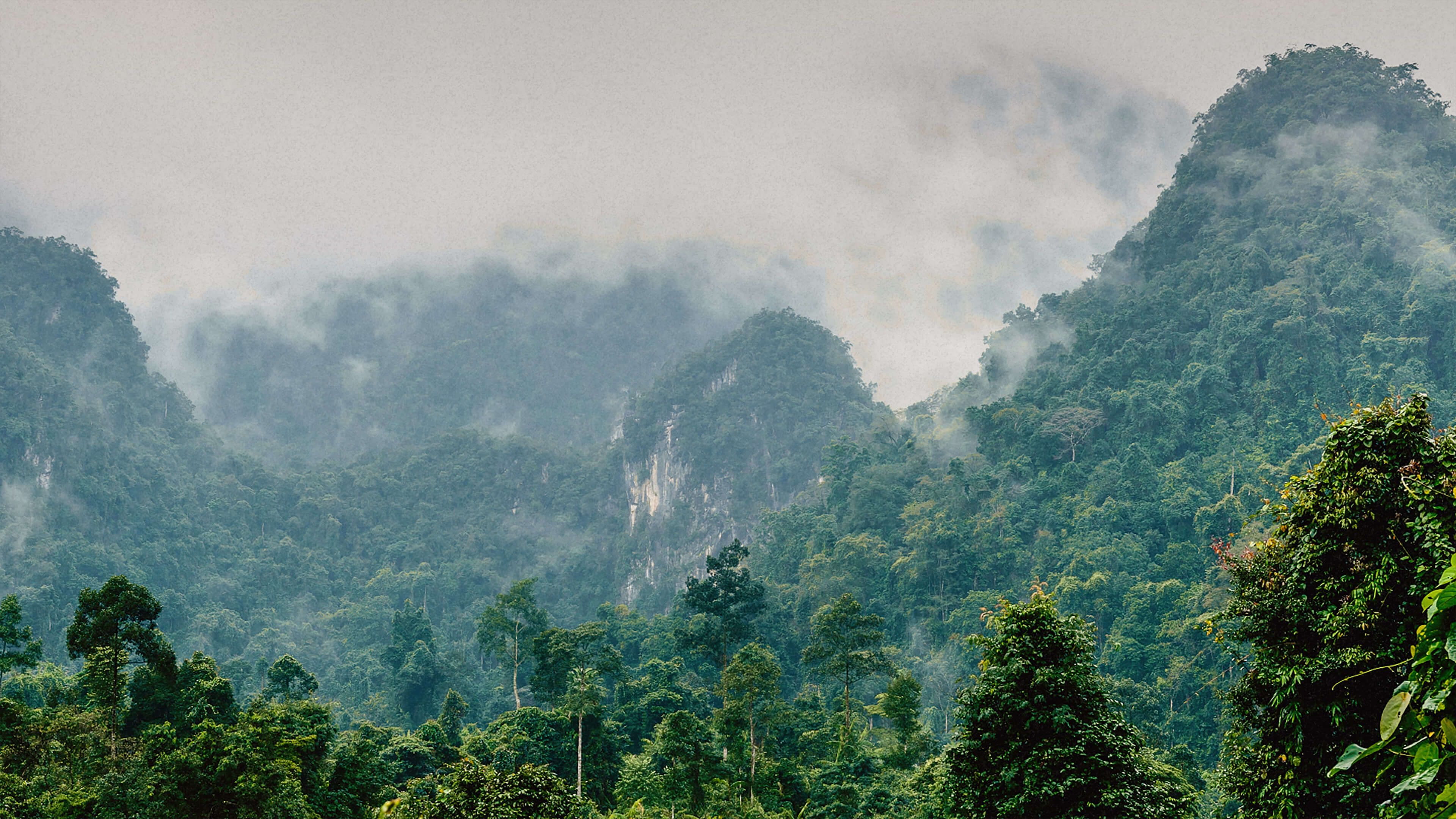 natucate_header_3840x2160