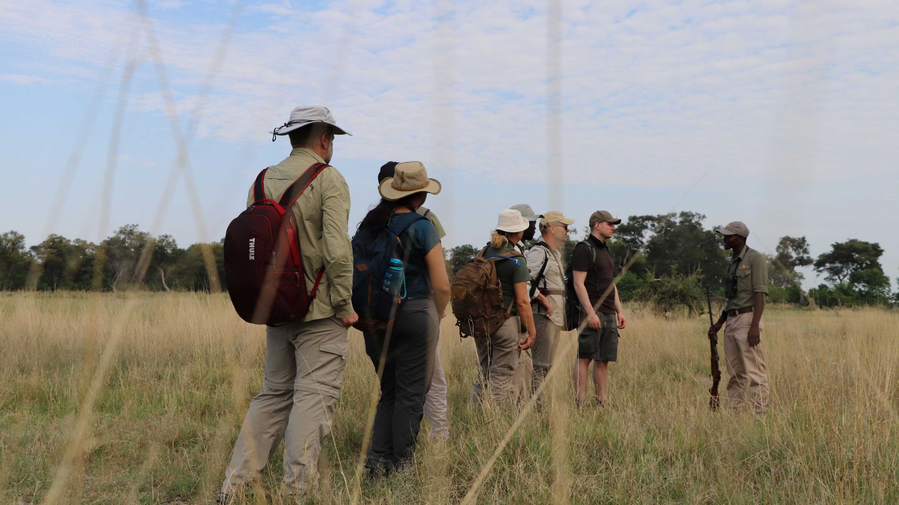 Game Walk im Field Guide Kurs in Botswana