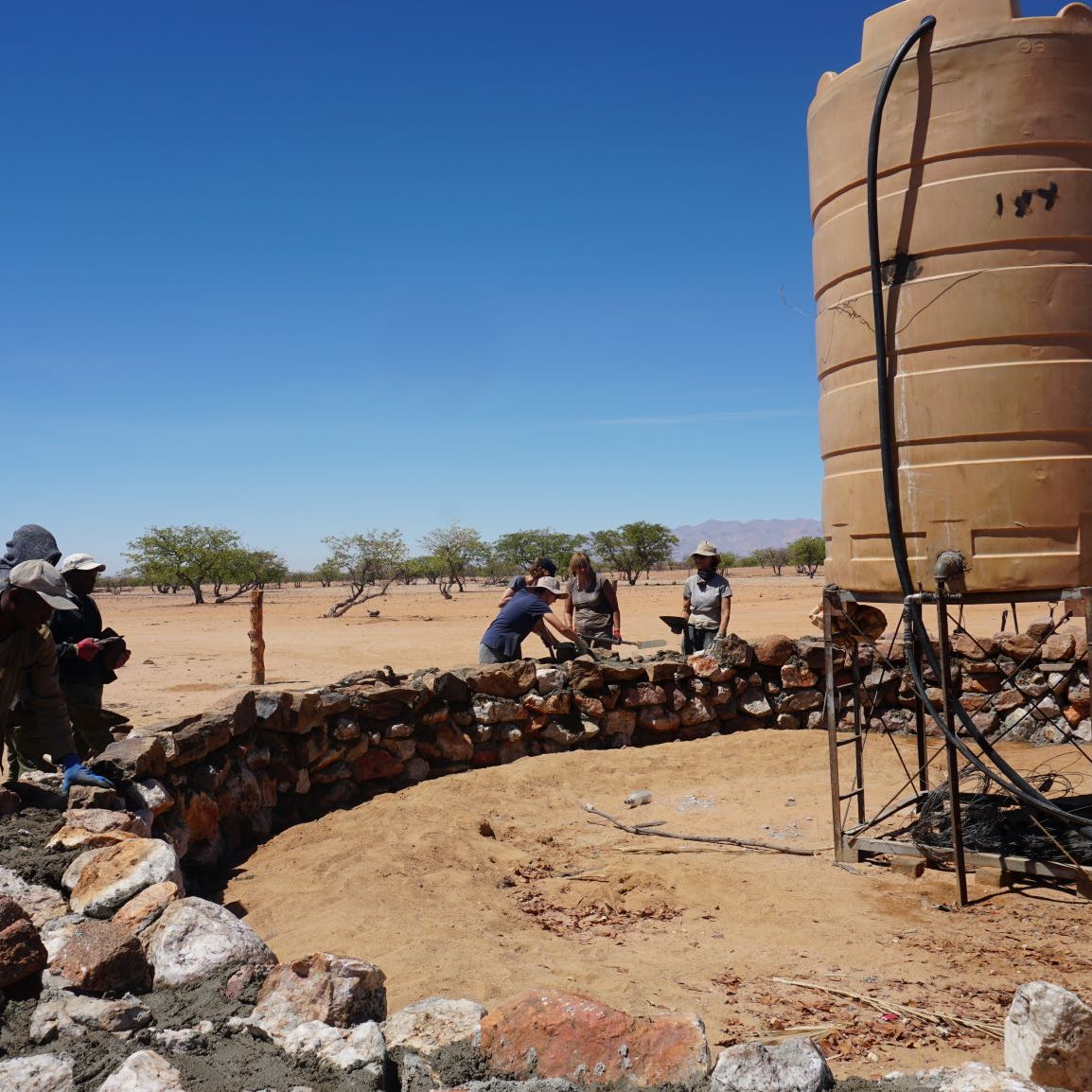 erfahrungsberichte-freiwilligenarbeit-namibia-elefanten-sabrina-build-week-natucate