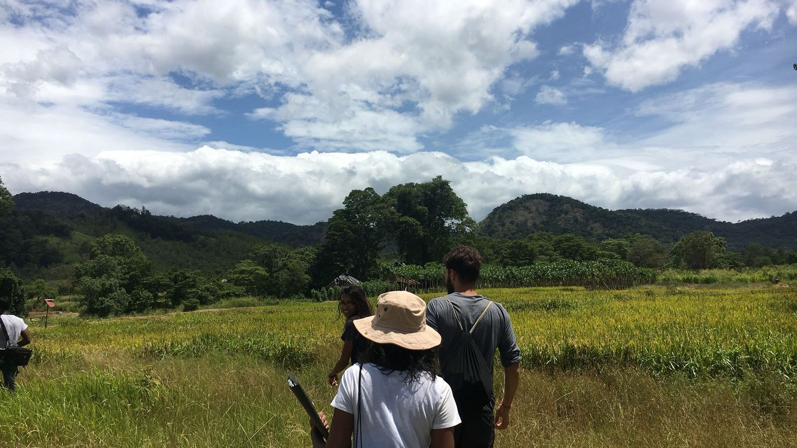 freiwilligenarbeit-sri-lanka-erfahrungsbericht-artenschutz-elefant-natucate