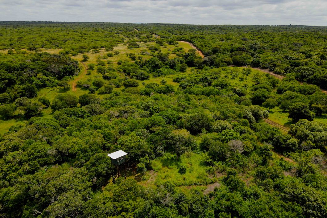 natucate-internship-south-africa-zululand-aerial-region