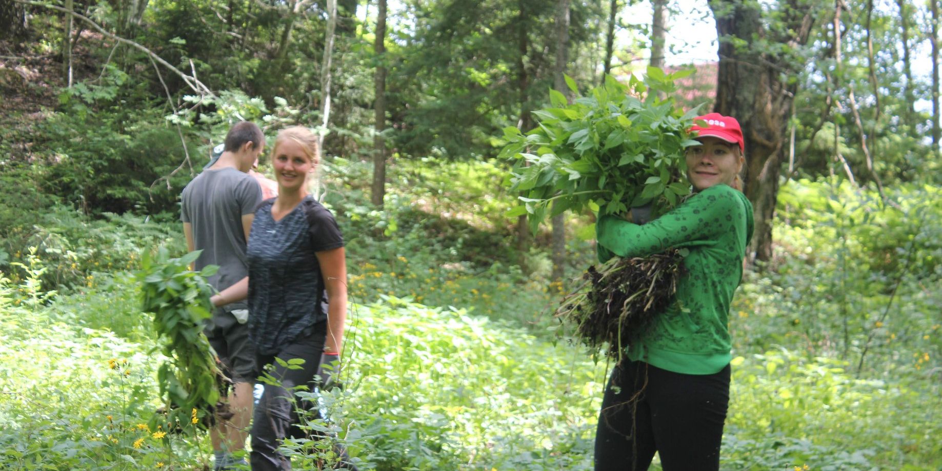 Mehrere Naturschutz-Volunteers des Freiwilligenprojekts in Estland bei der Arbeit