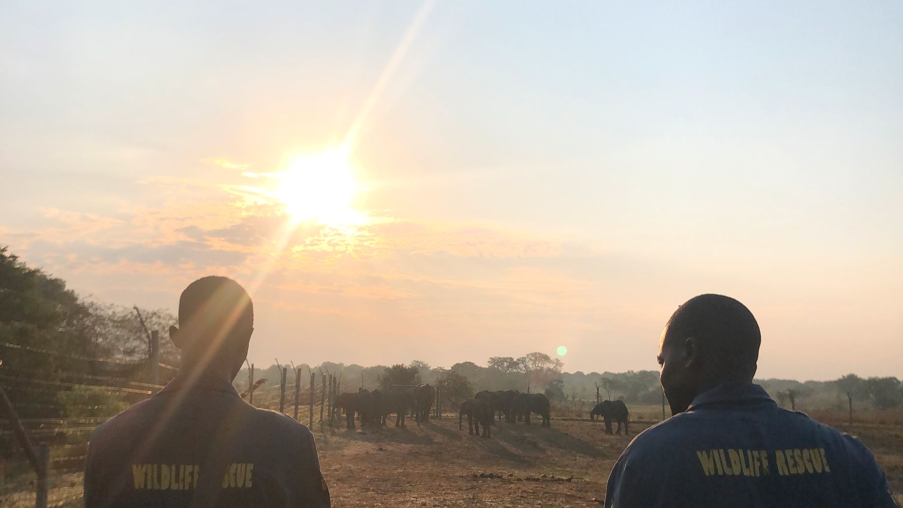 natucate-blog-review-sambia-klara-rangers