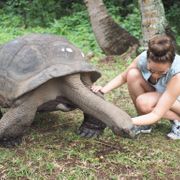 freiwilligenarbeit-seychellen-schildkroete-erfahrungsbericht-natucate
