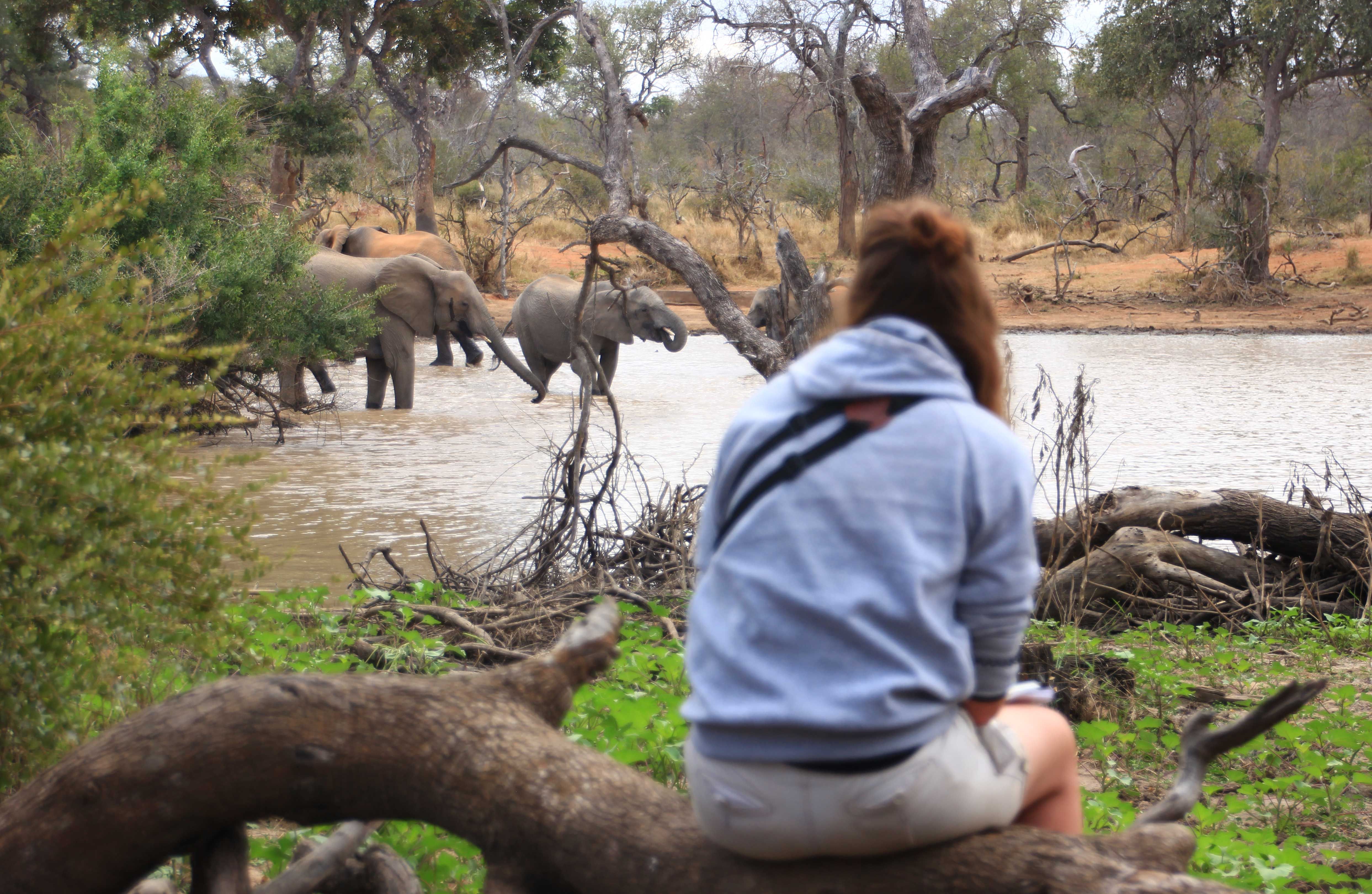 Review Field Guide Level 1 Lea ⋅ Natucate