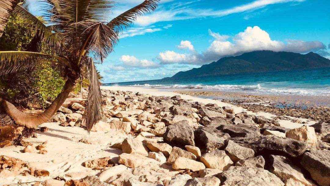 freiwilligenarbeit-seychellen-erfahrungsbericht-artenschutz-kundenfotos-kueste-natucate
