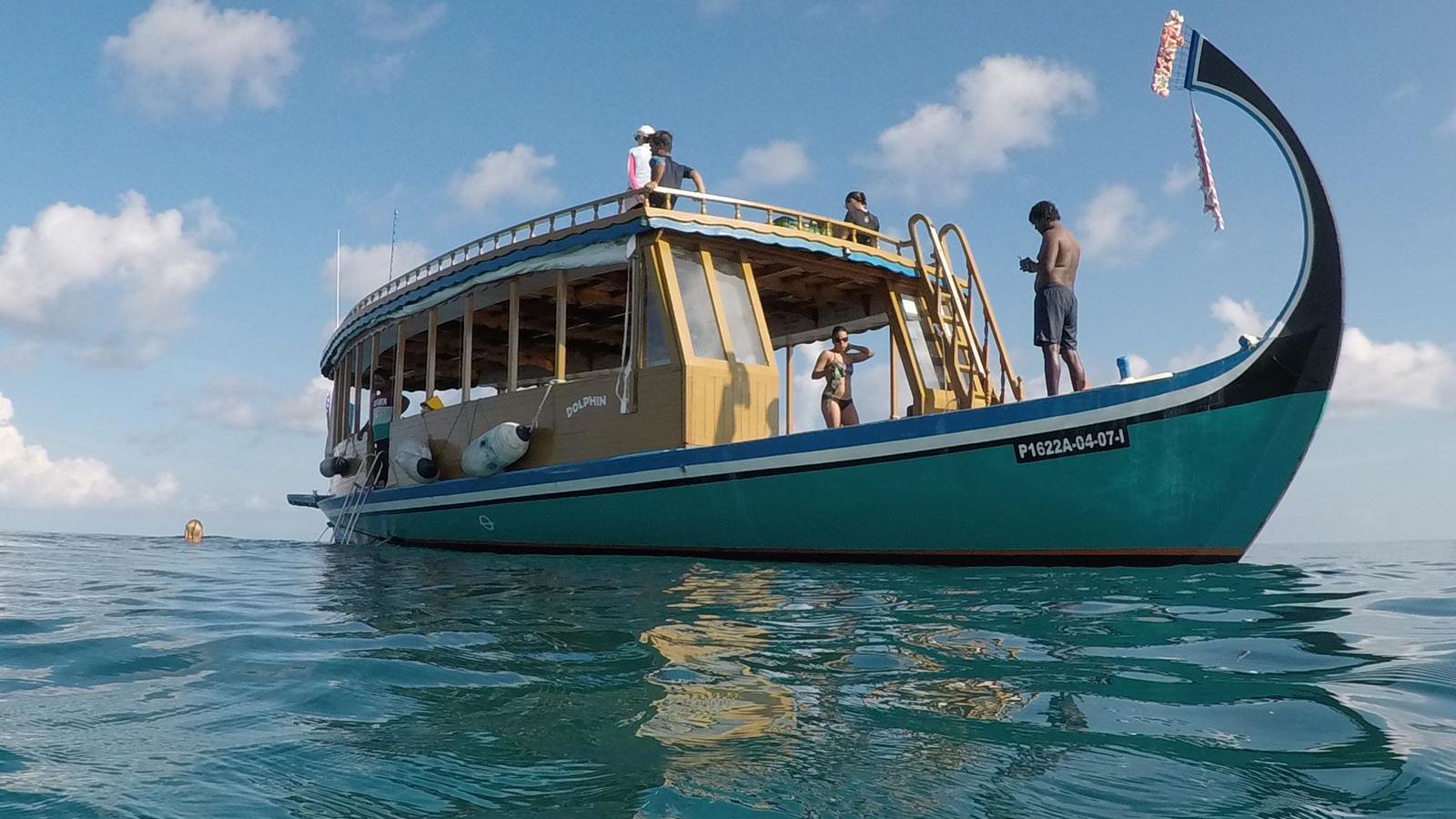 artenschutz-walhaie-asien-malediven