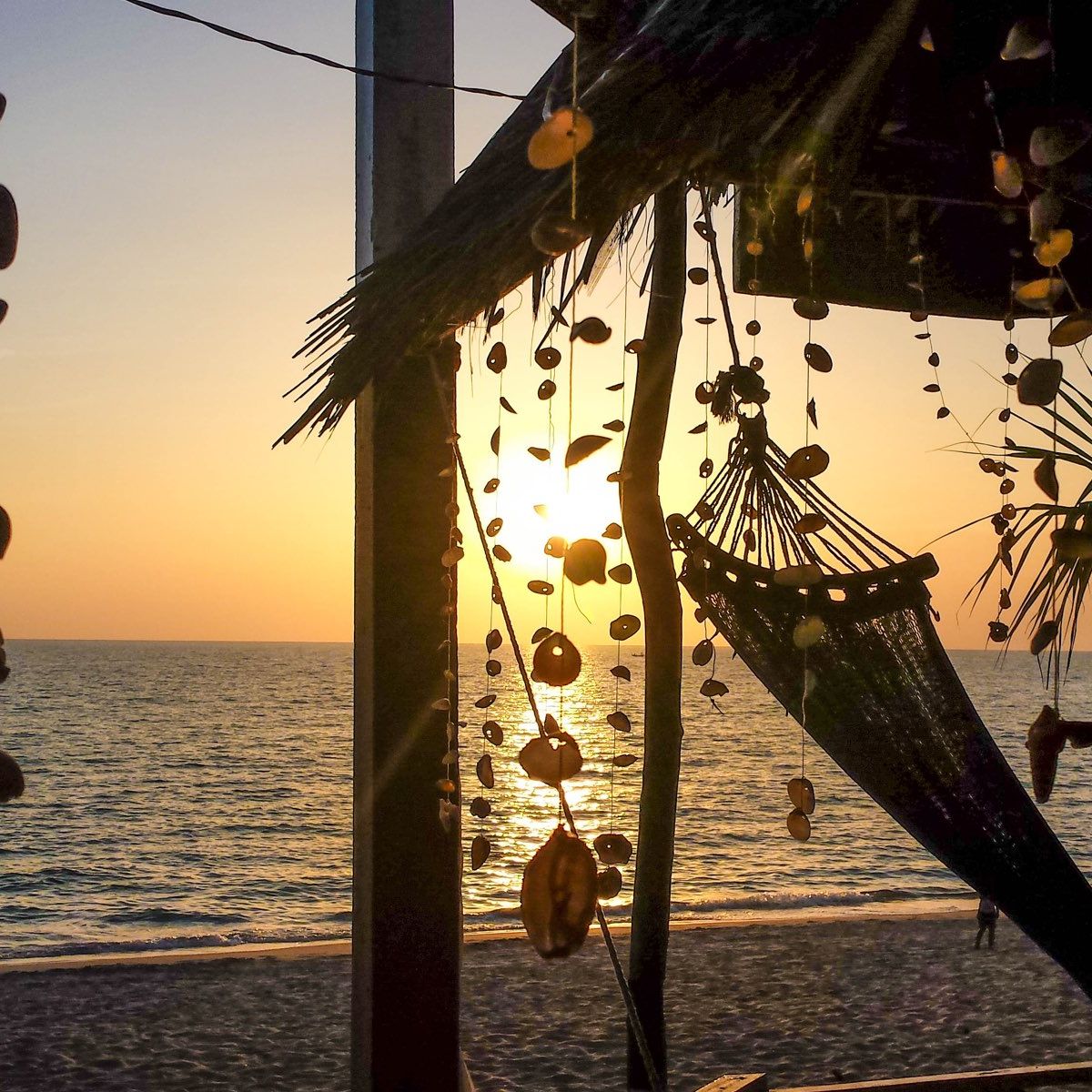 freiwilligenarbeit-thailand-erfahrungsbericht-kundenfotos-tierschutz-strand-natucate