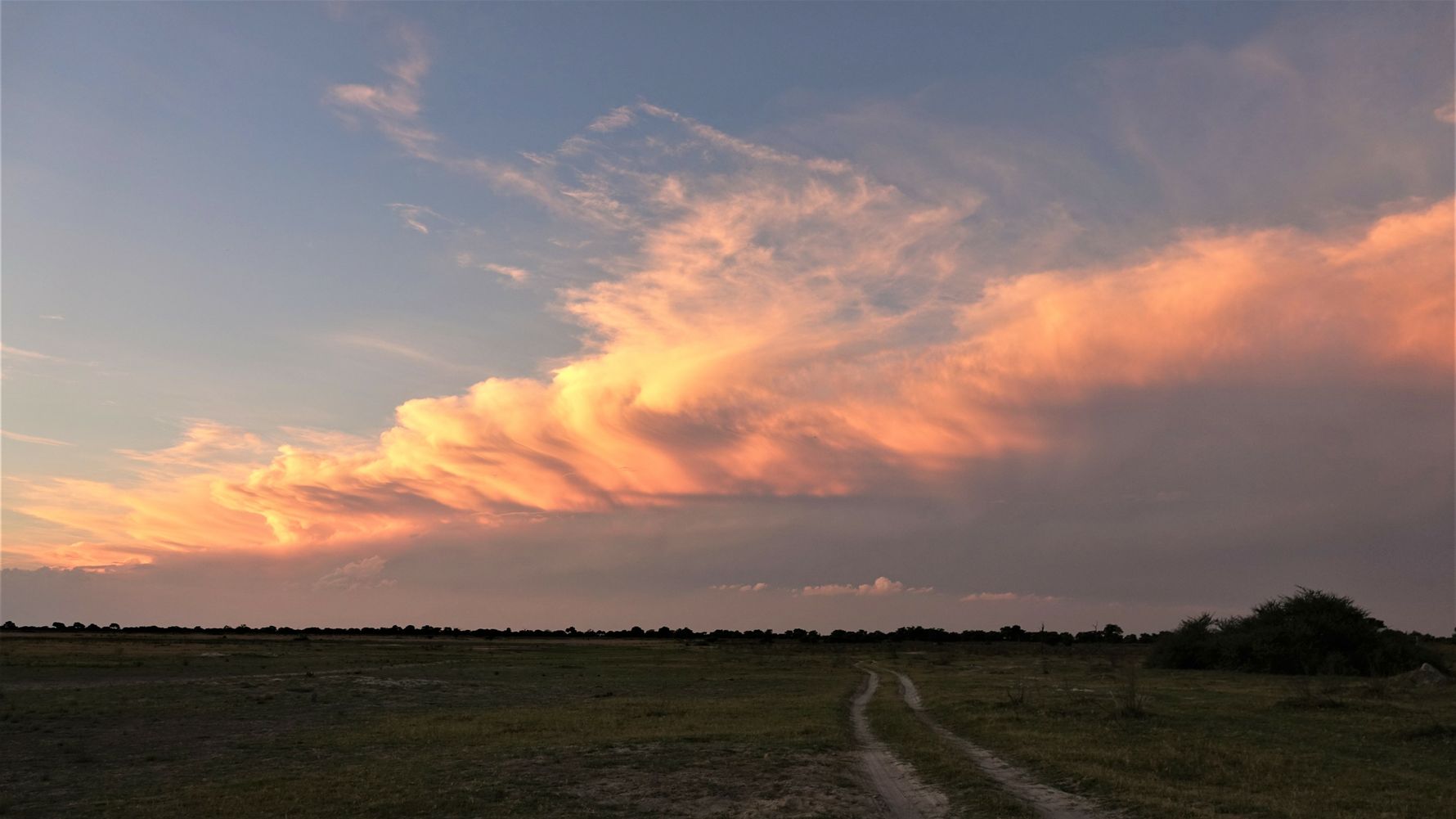 blog-ratgeber-botswana-savute-wolken-natucate