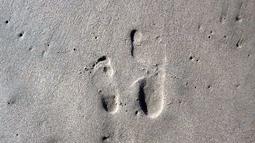 blog-naturwissen-co2-spur-natucate