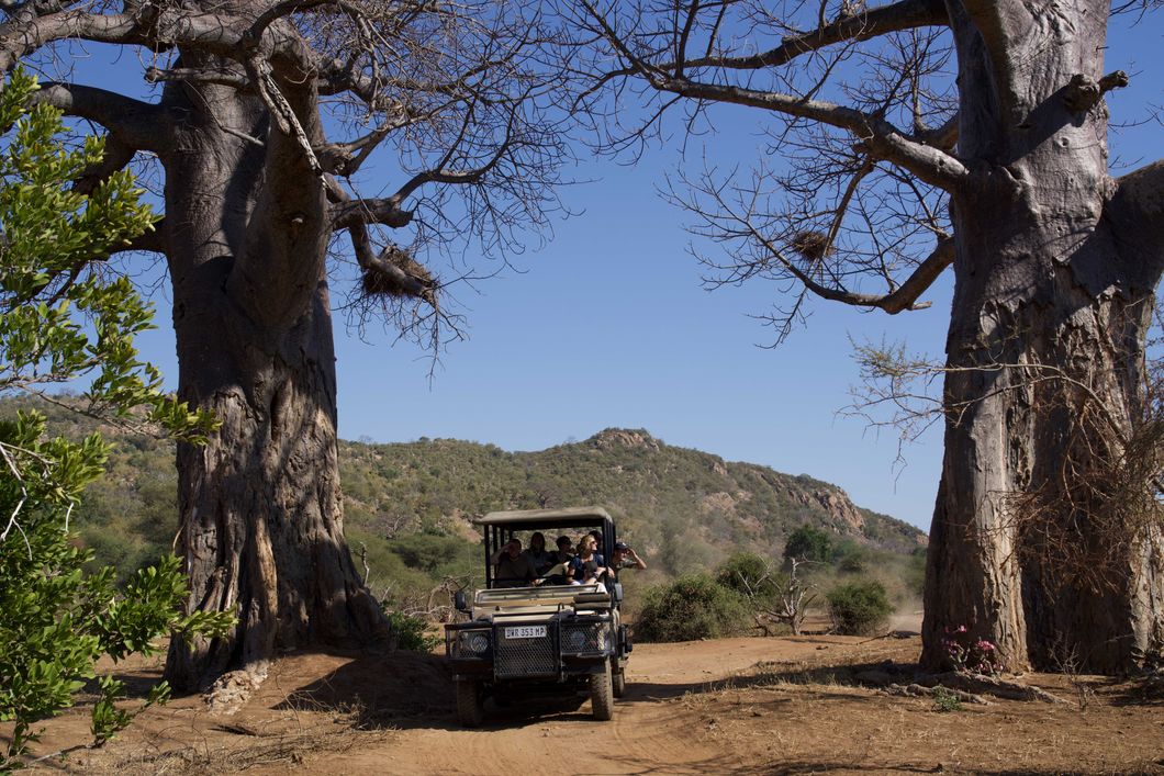 safari-botswana-fluegel-des-okavango-deltas-game-drive-natucate