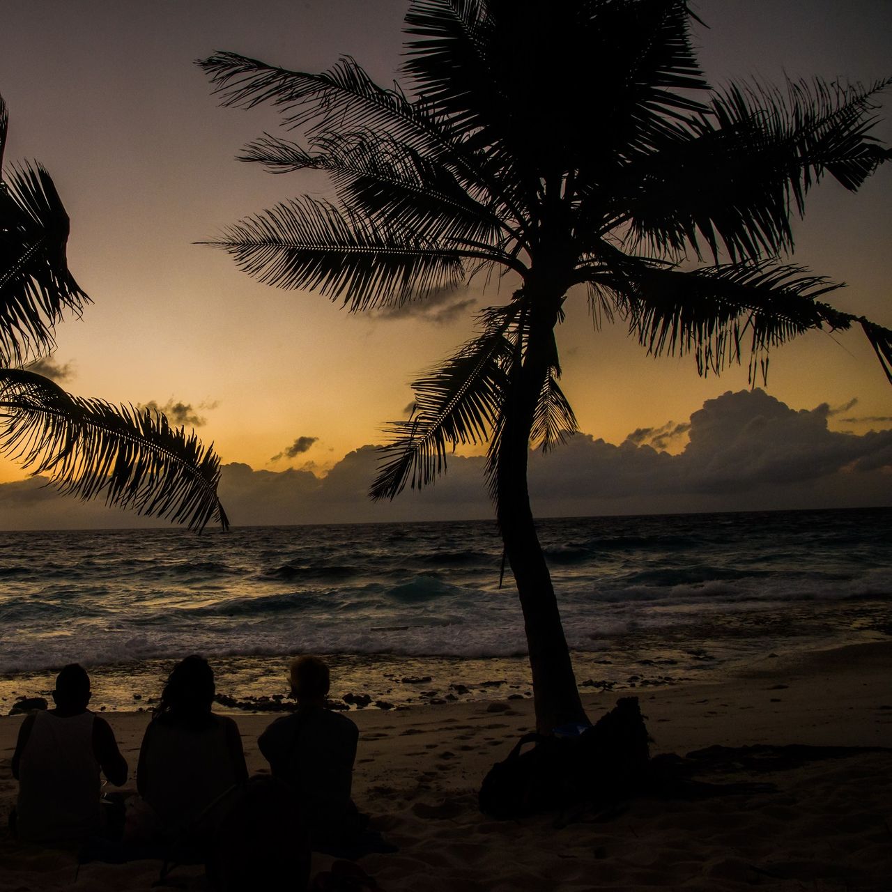 blog-erfahrungsberichte-seychellen-north-island-artenschutz-sandra-sonnenuntergang-natucate