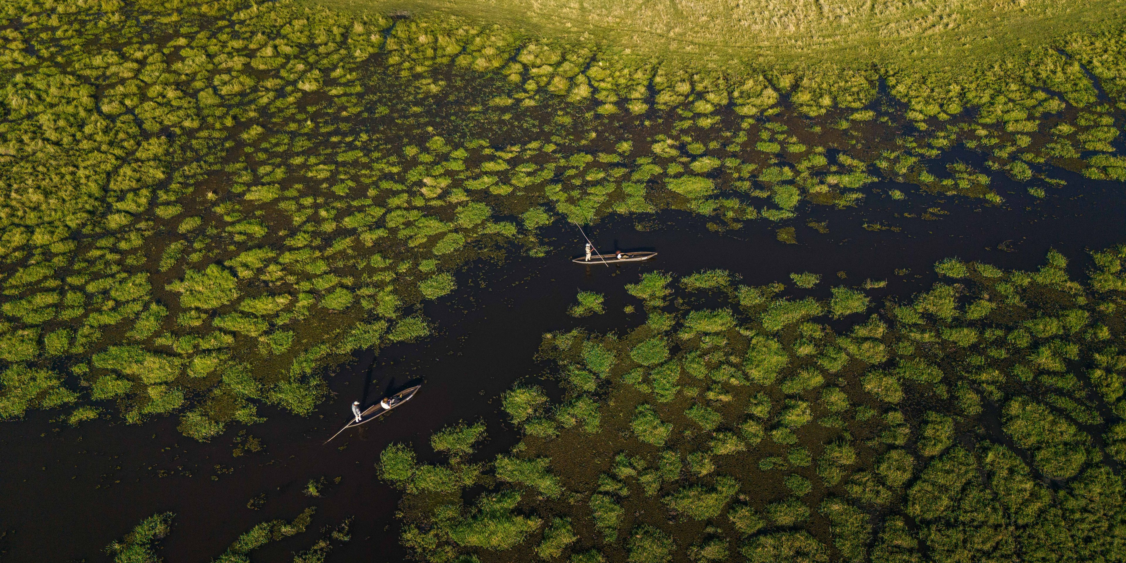 natucate-safari-botswana-abenteuer-camp-little-sable-mokoro-safari