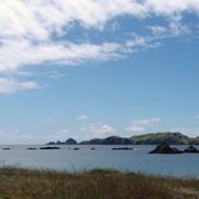 erfahrungsbericht-freiwilligenarbeit-naturschutz-neuseeland-allene-meer-natucate