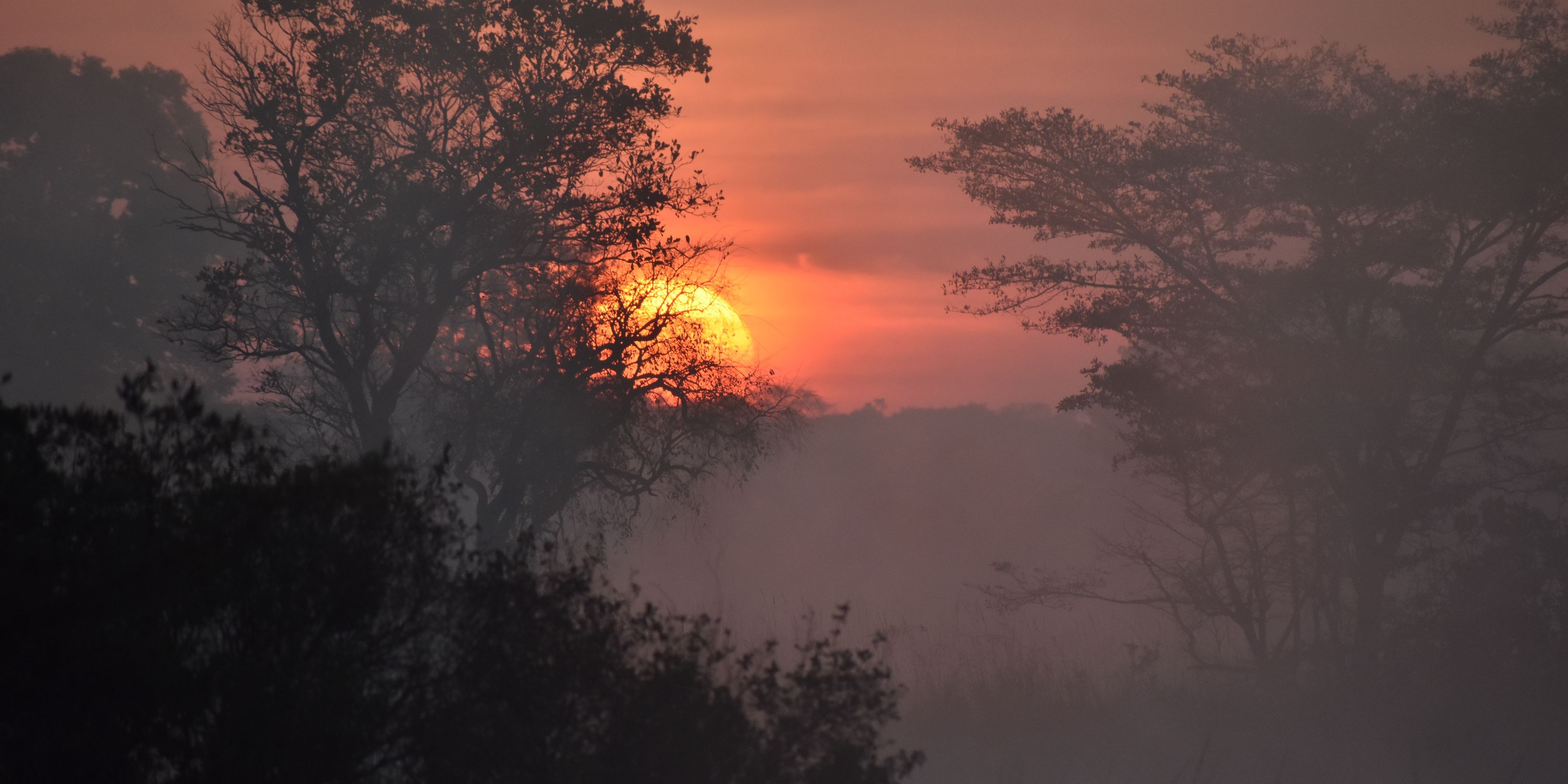 Die untergehende Sonne in Sambia; der Himmel ist rot gefaerbt, im Vordergrund sind Silhouetten von Baeumen und Bueschen
