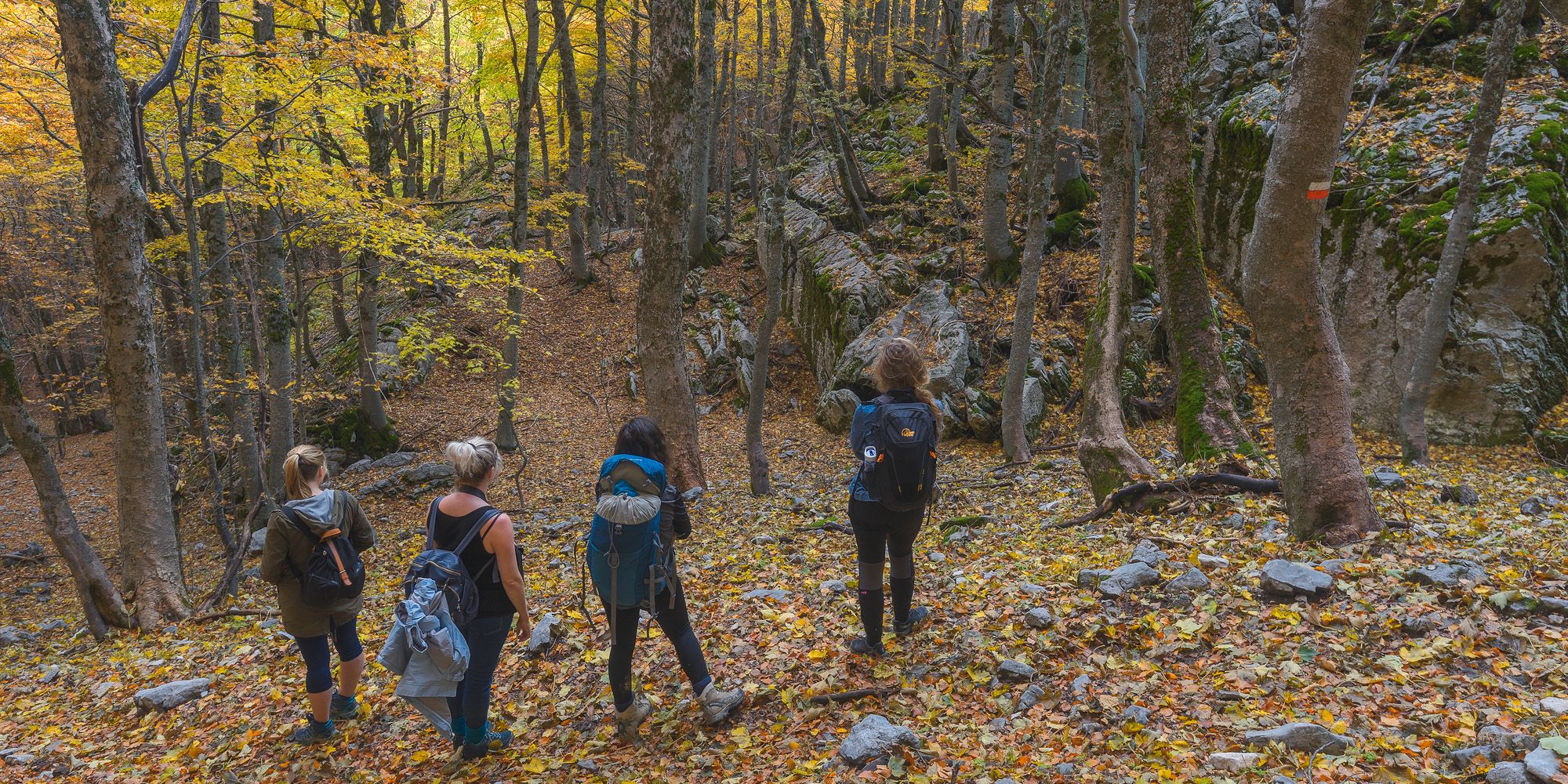 naturreise-italien-apennin-gruppe-natucate