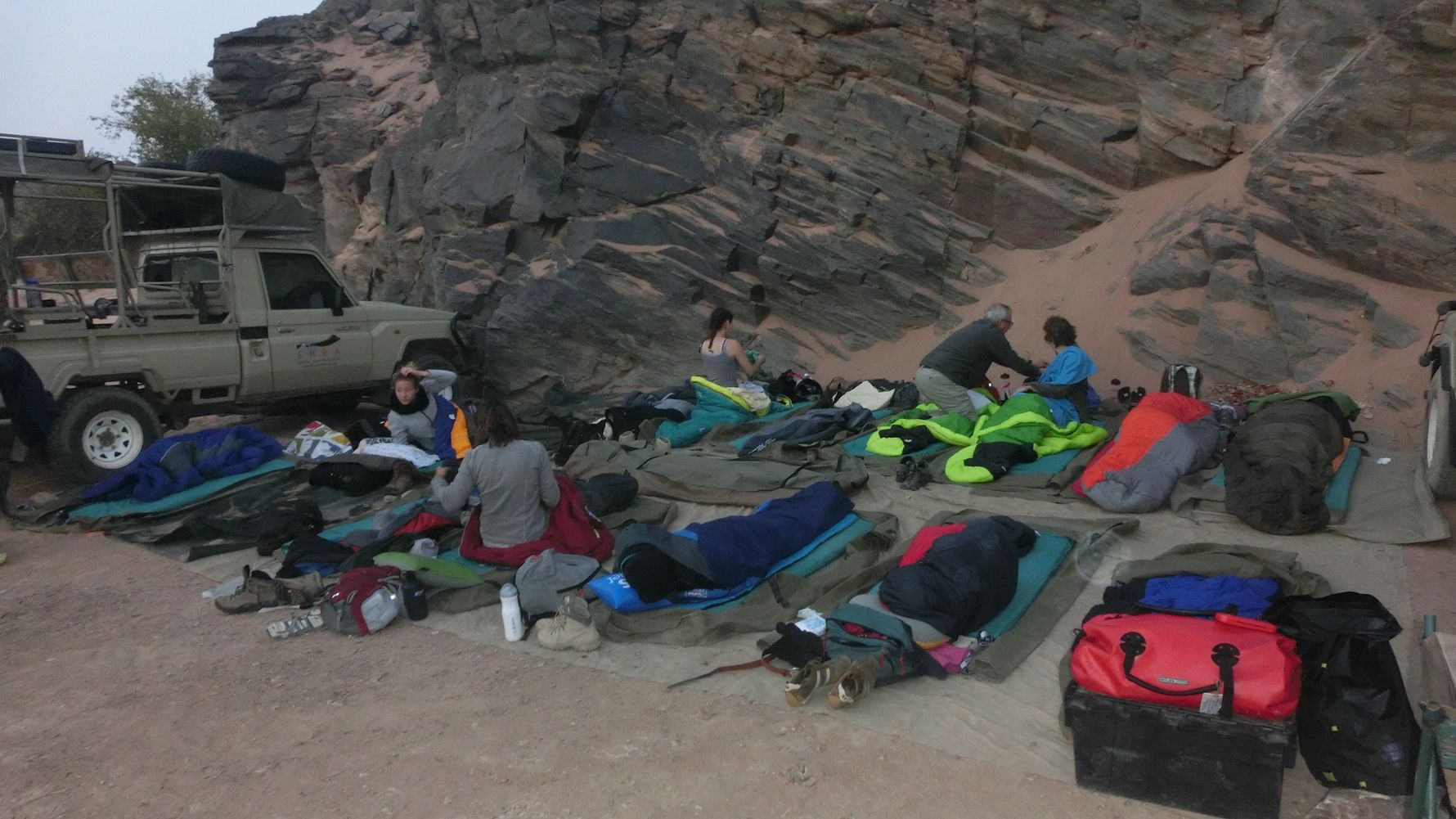 Artenschutz im suedlichen Afrika: Ein Volunteer sitzt auf einem Baum