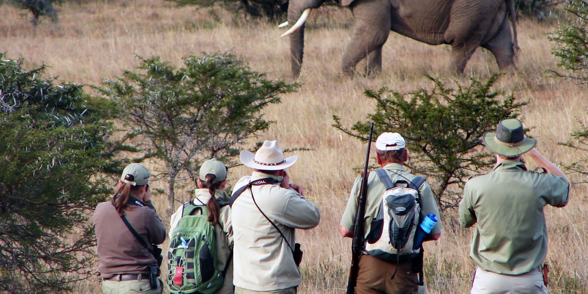 Trails Guide-Studenten auf einem Pirschgang im Amakhala Game Reserve; bei einem Stopp beobachten sie nun einen Elefanten
