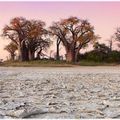 reiseorte-botswana-makgadikgadi-salt-pan