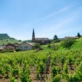 The settled wine region of Solutre Pouilly in France