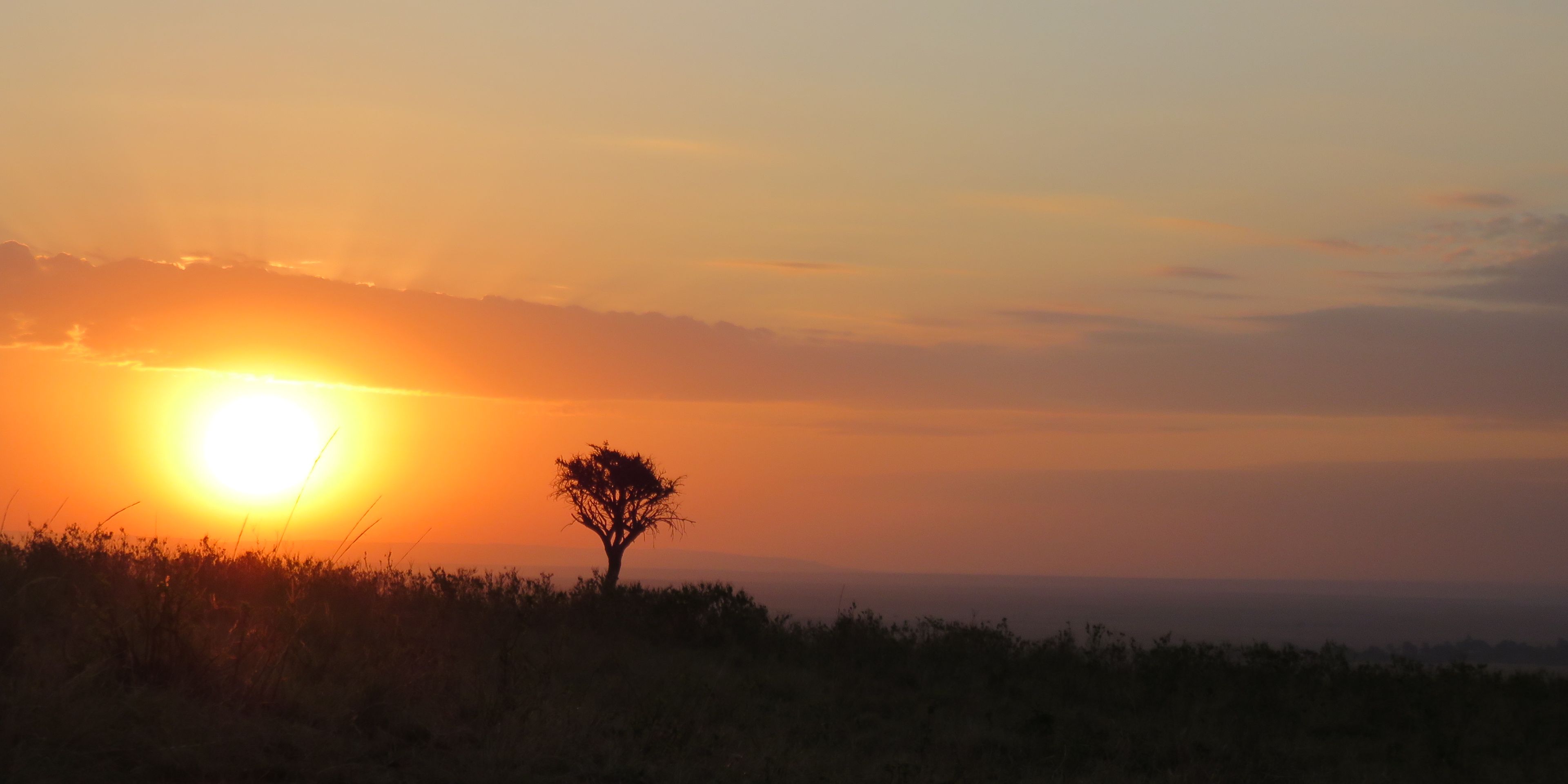 Die steigenden Sonne am Himmel der Masai Mara in den fruehen Morgenstunden
