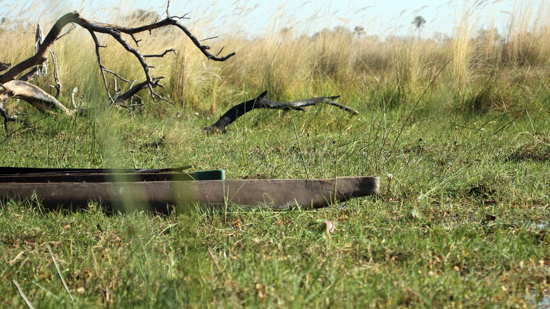 blog-ratgeber-botswana-okavango-delta-blog-natucate