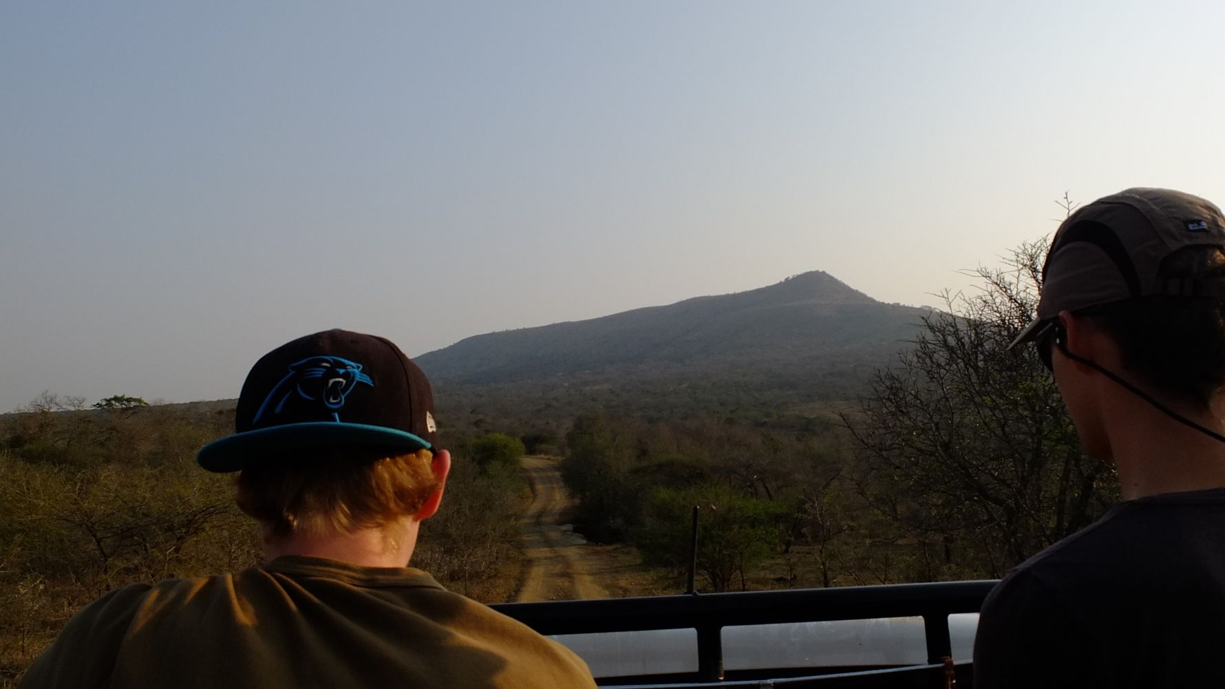 freiwilligenarbeit-suedafrika-artenschutz-wildtiere