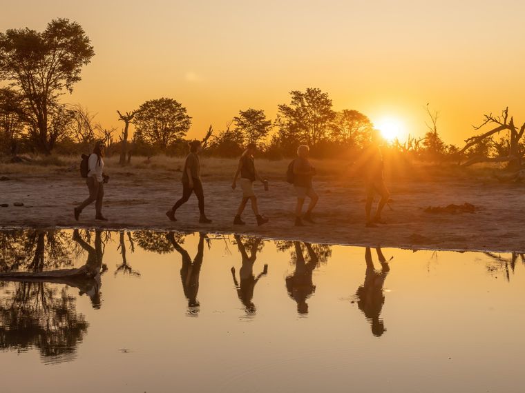 Bush Walk during sunset in Botswana