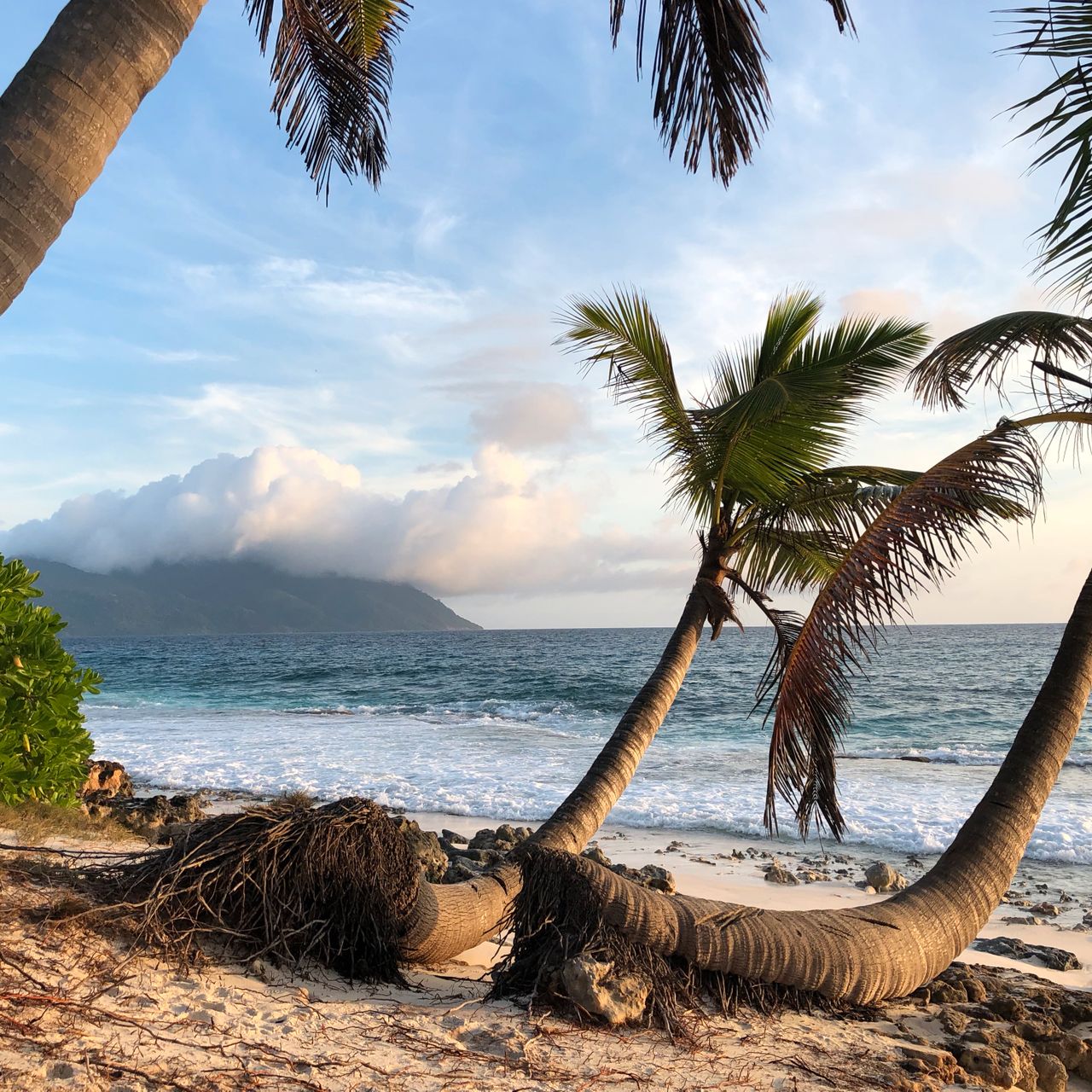 erfahrungsberichte-freiwilligenarbeit-seychellen-north-island-marco-palmen