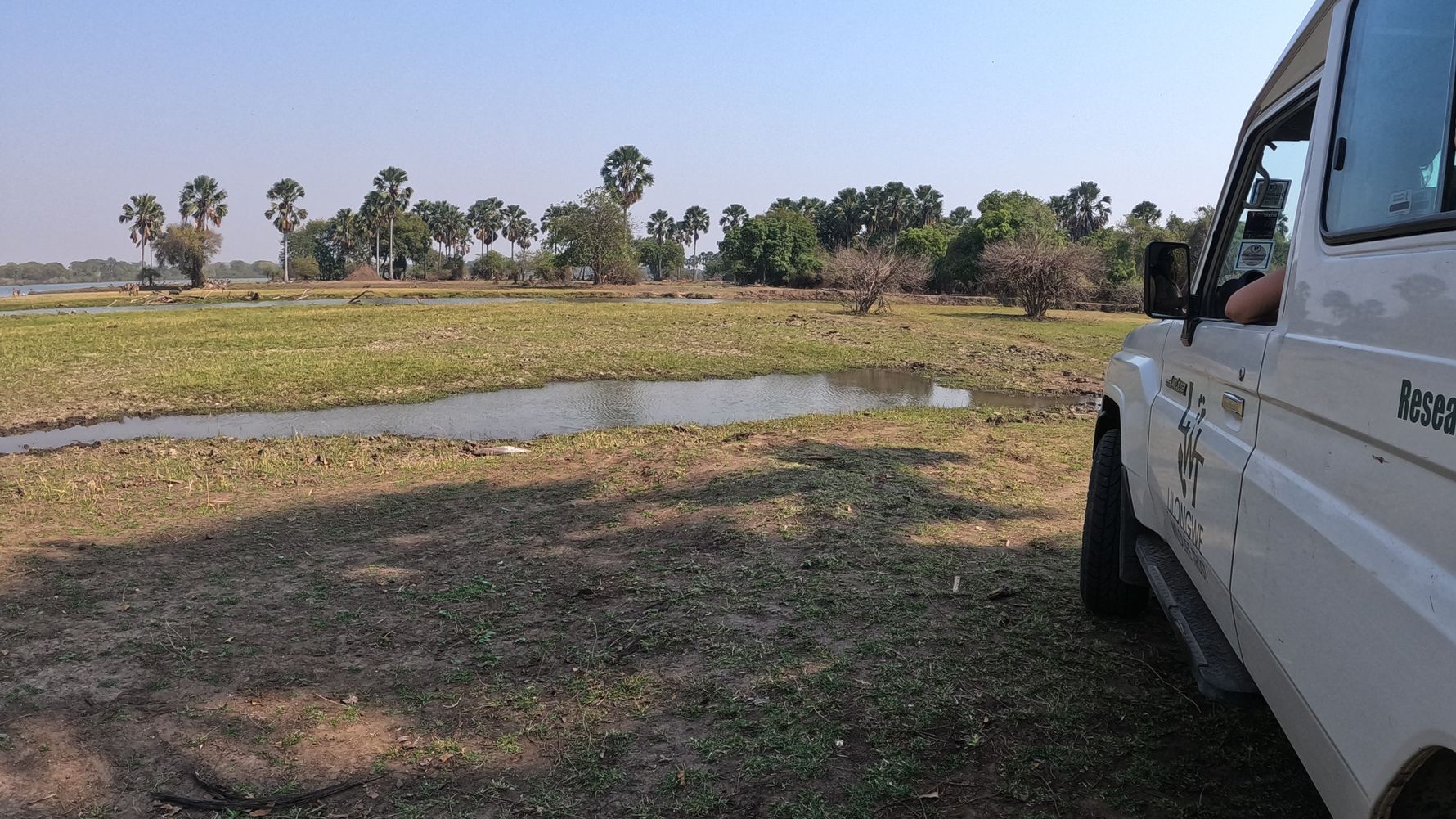 Malawi Nature and car