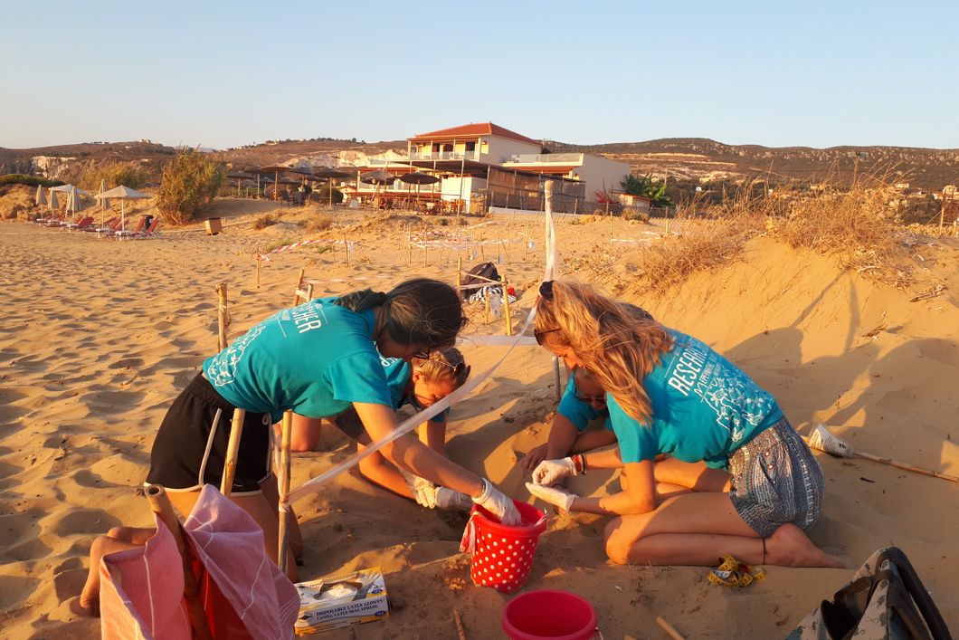 freiwilligendienst-griechenland-kefalonia-gruppe-strand-eier