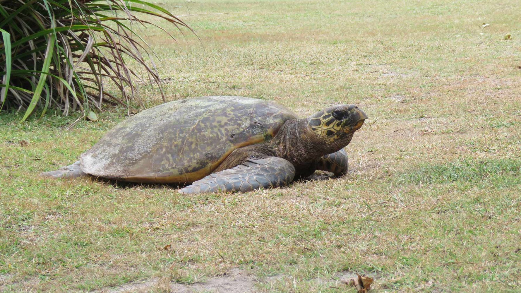 erfahrungsbericht-seychellen-sabbatjahr-strand
